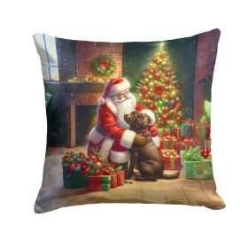 Labrador Retriever and Santa Claus Throw Pillow Machine Washable, Indoor Outdoor Decorative Pillow for Couch, Bed or Patio, 18Hx18W