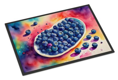 Colorful Blueberries Doormat Front Door Mat Indoor Outdoor Rugs for Entryway, Non Slip Washable Low Pile, 24H X 36W